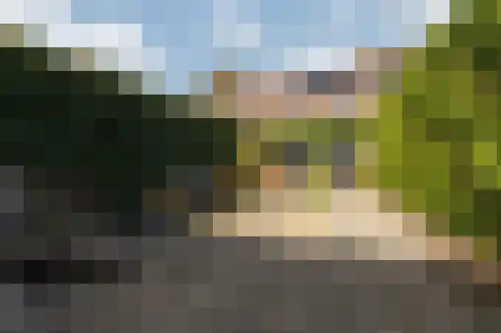 Golden Delicious 9 Duiven thumbnail 44