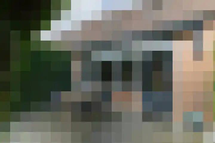 Golden Delicious 9 Duiven thumbnail 47