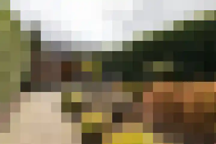 Golden Delicious 9 Duiven thumbnail 51