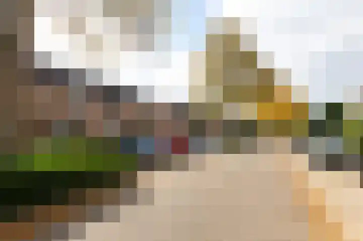 Golden Delicious 9 Duiven thumbnail 58