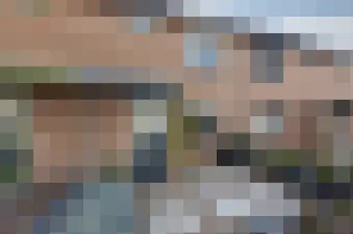 Golden Delicious 9 Duiven thumbnail 8
