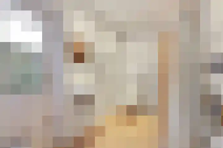 Golden Delicious 95 Duiven thumbnail 21