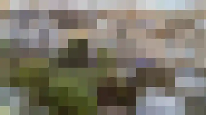 Golden Delicious 95 Duiven thumbnail 37
