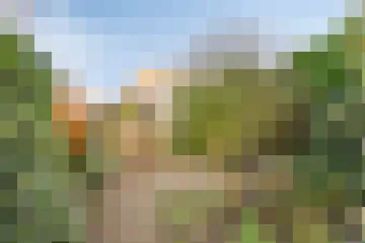 Golden Delicious 95 Duiven thumbnail 38