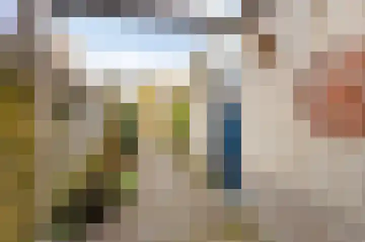 Golden Delicious 95 Duiven thumbnail 39