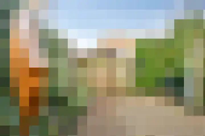 Golden Delicious 95 Duiven thumbnail 40
