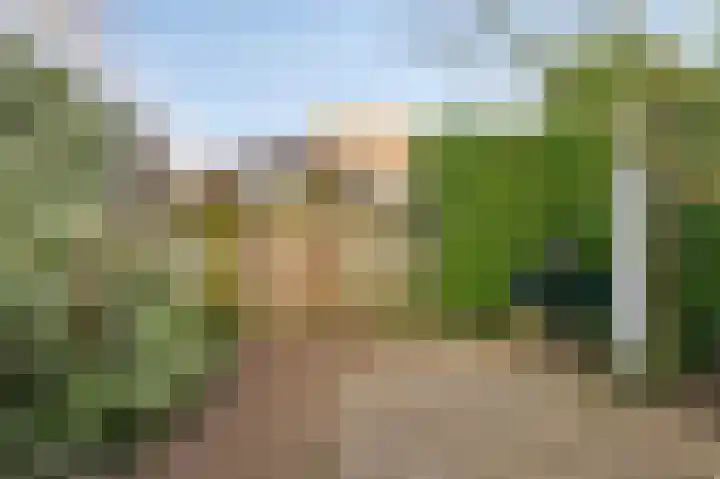 Golden Delicious 95 Duiven thumbnail 41
