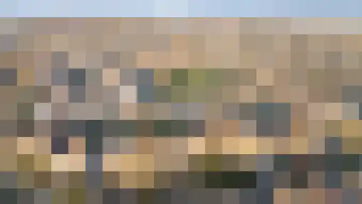 Golden Delicious 95 Duiven thumbnail 45