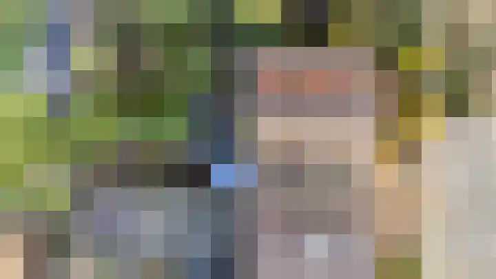 Golden Delicious 95 Duiven thumbnail 46