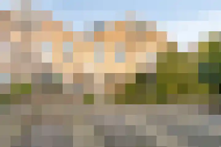 Golden Delicious 95 Duiven thumbnail 47