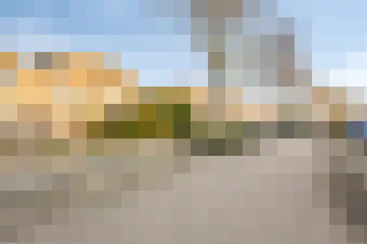 Golden Delicious 95 Duiven thumbnail 5