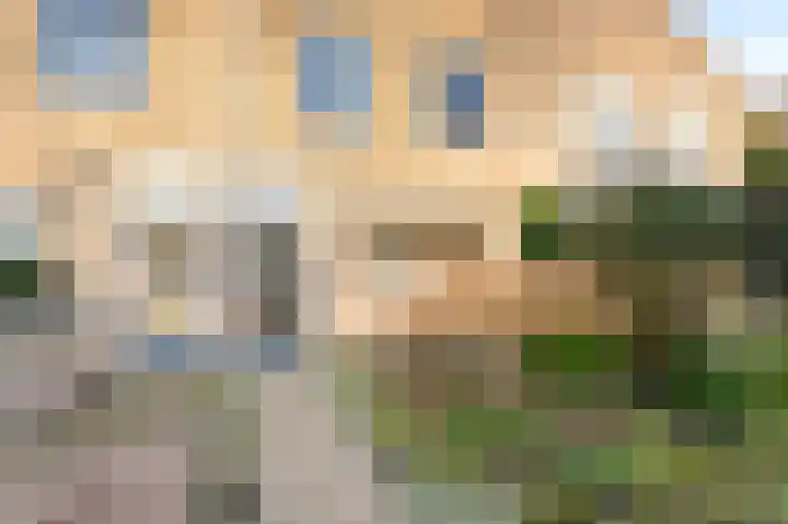 Golden Delicious 95 Duiven thumbnail 6