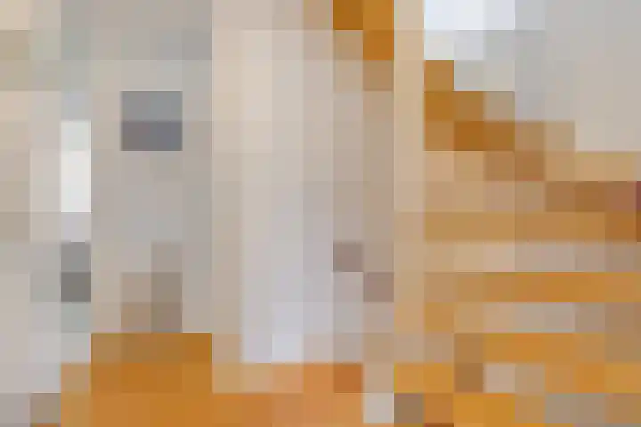 Golden Delicious 97 Duiven thumbnail 21