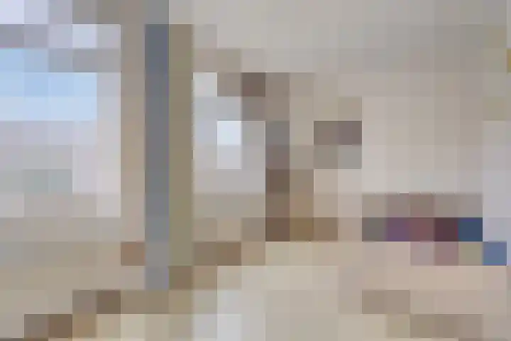 Golden Delicious 97 Duiven thumbnail 22