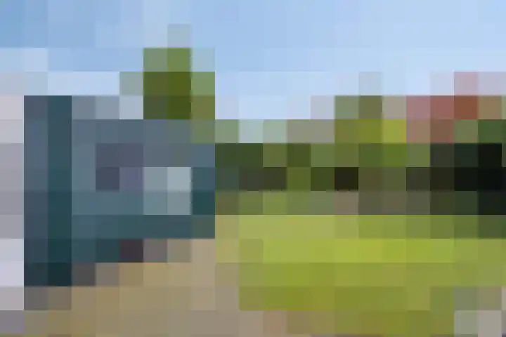 Golden Delicious 97 Duiven thumbnail 35
