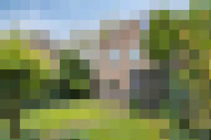 Golden Delicious 97 Duiven thumbnail 37