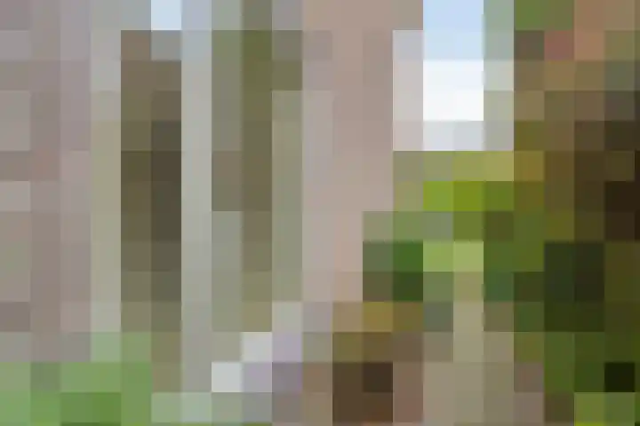 Golden Delicious 97 Duiven thumbnail 40
