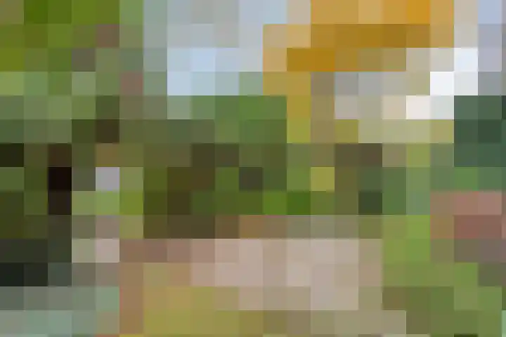 Golden Delicious 97 Duiven thumbnail 41