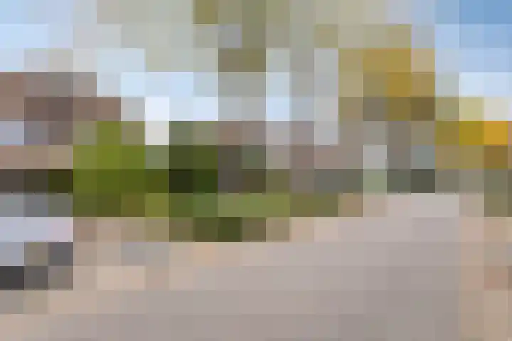 Golden Delicious 97 Duiven thumbnail 42