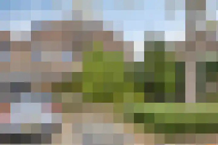 Golden Delicious 97 Duiven thumbnail 43