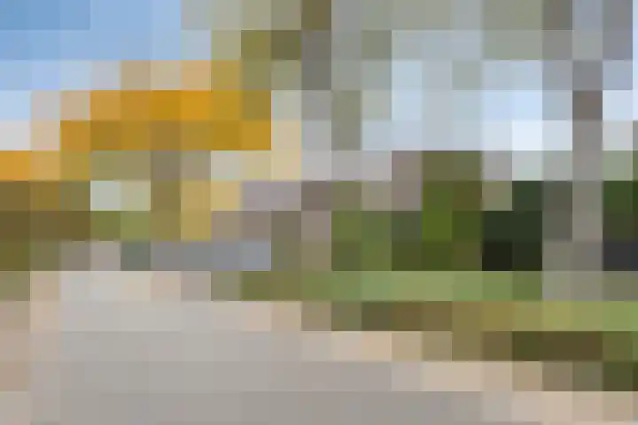 Golden Delicious 97 Duiven thumbnail 44