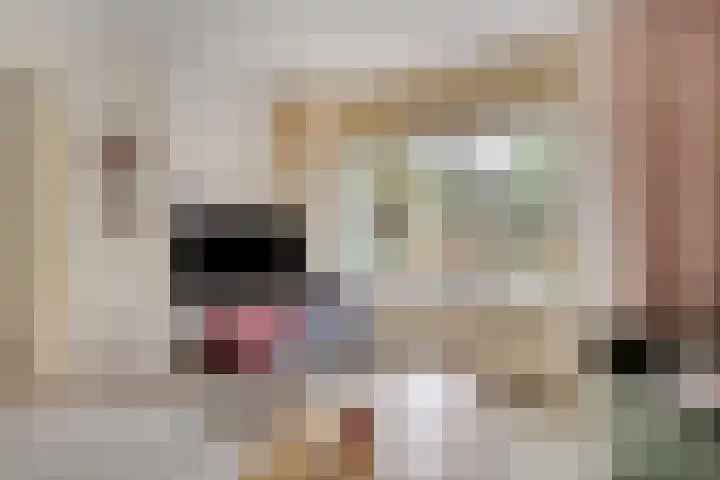 Golden Delicious 97 Duiven thumbnail 7