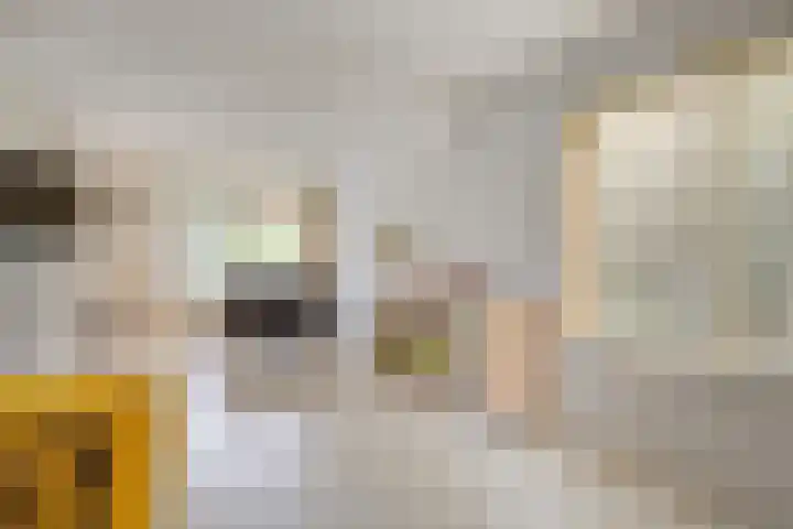 Golden Delicious 97 Duiven thumbnail 9