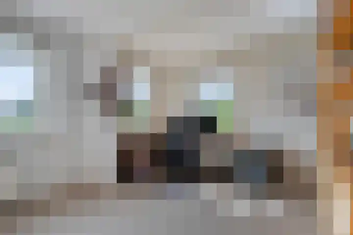 Golden Delicioushof 6 Zoetermeer thumbnail 14