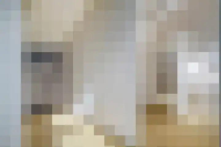 Golden Delicioushof 6 Zoetermeer thumbnail 23