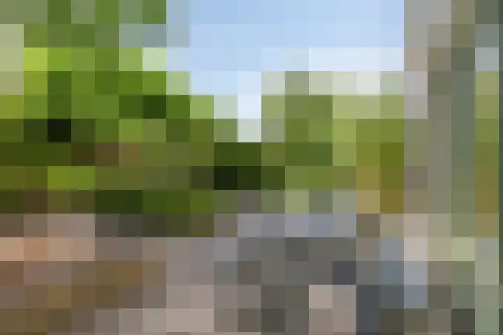 Golden Delicioushof 6 Zoetermeer thumbnail 24