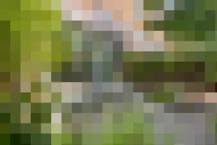 Golden Delicioushof 6 Zoetermeer thumbnail 25