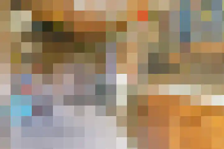 Golden Delicioushof 6 Zoetermeer thumbnail 29