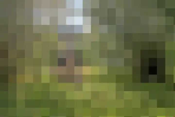 Golden Delicioushof 6 Zoetermeer thumbnail 32