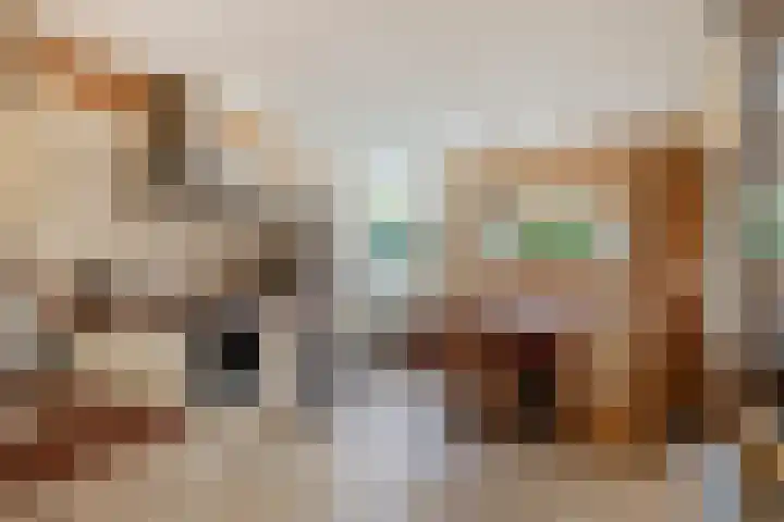 Golden Delicioushof 6 Zoetermeer thumbnail 4