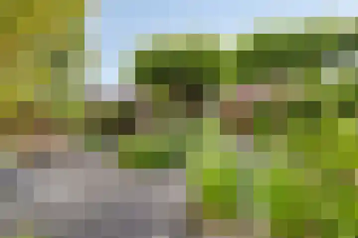 Golden Delicioushof 6 Zoetermeer thumbnail 5