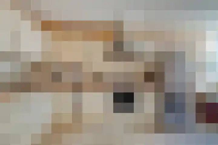 Golden Delicioushof 6 Zoetermeer thumbnail 9