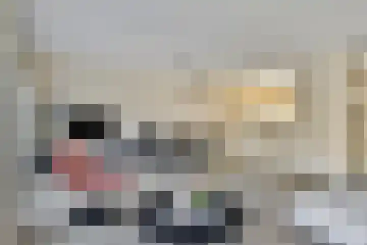 Golden Delicioushof 8 Zoetermeer thumbnail 12