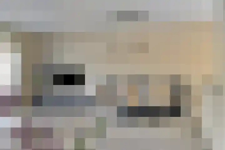 Golden Delicioushof 8 Zoetermeer thumbnail 13
