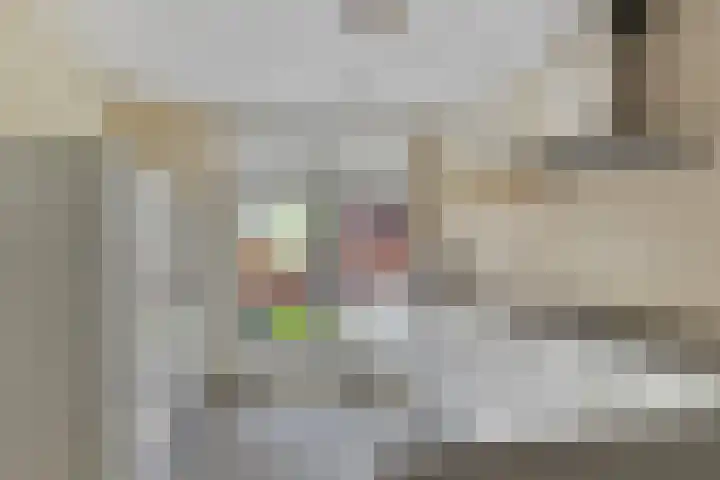 Golden Delicioushof 8 Zoetermeer thumbnail 16