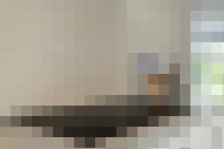Golden Delicioushof 8 Zoetermeer thumbnail 18