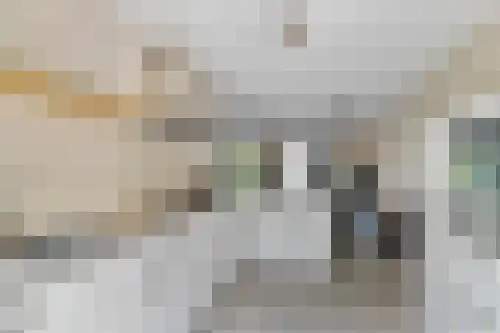 Golden Delicioushof 8 Zoetermeer thumbnail 19