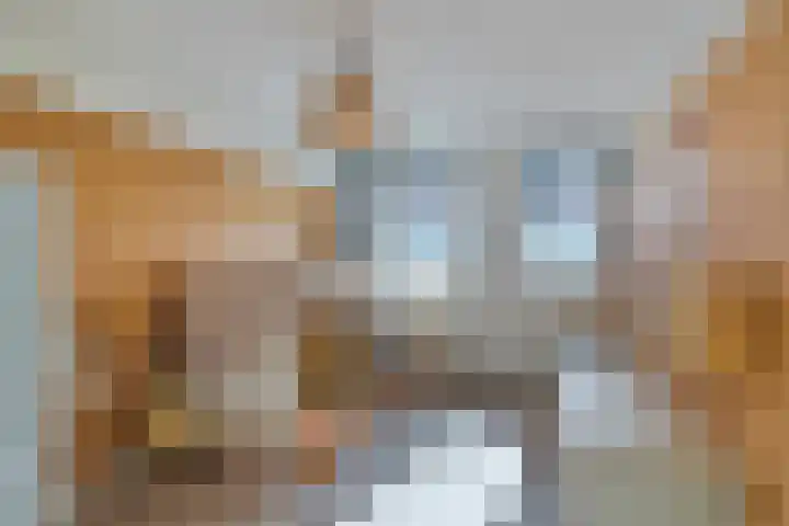 Golden Delicioushof 8 Zoetermeer thumbnail 25