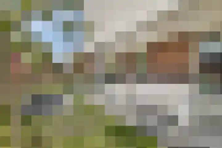 Golden Delicioushof 8 Zoetermeer thumbnail 38