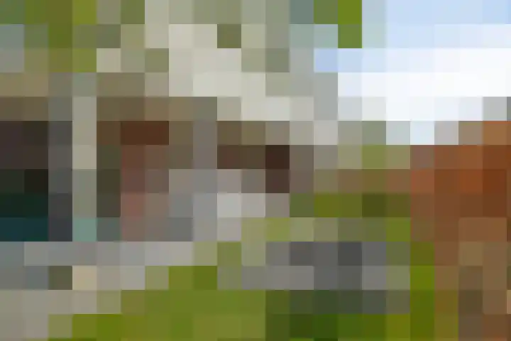 Golden Delicioushof 8 Zoetermeer thumbnail 39