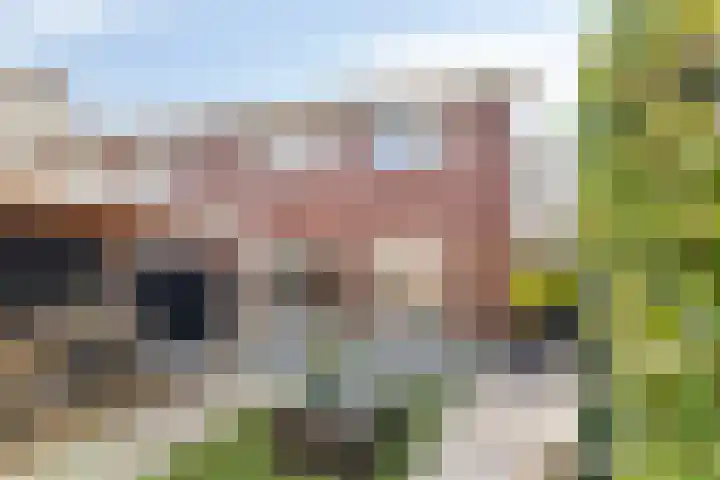 Golden Delicioushof 8 Zoetermeer thumbnail 4