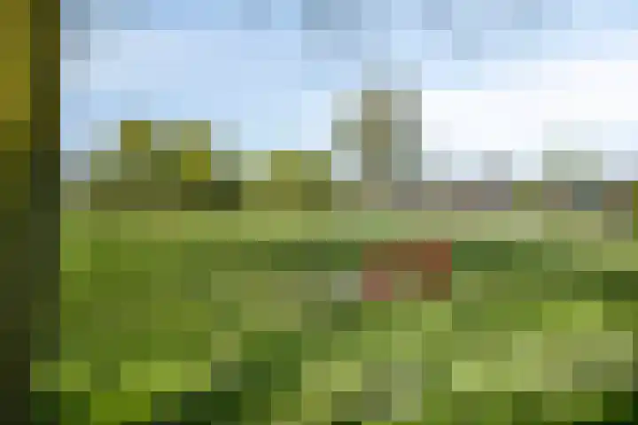 Golden Delicioushof 8 Zoetermeer thumbnail 43
