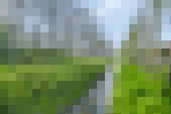 Golden Delicioushof 8 Zoetermeer thumbnail 44
