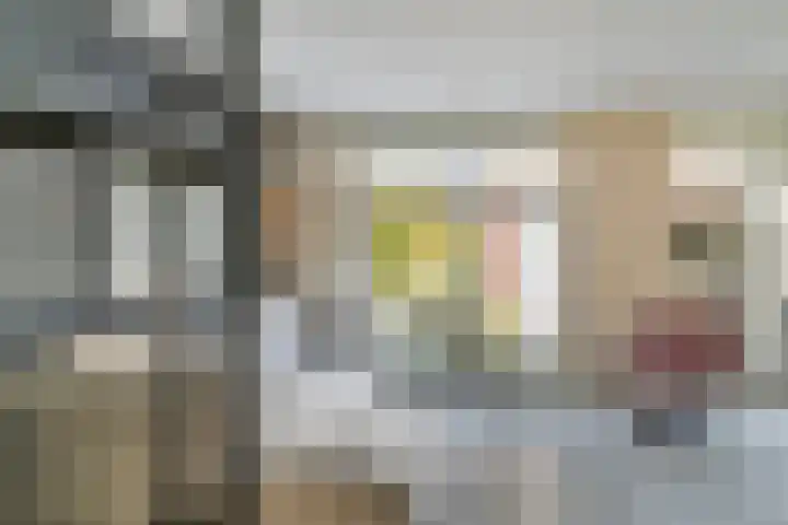 Golden Delicioushof 8 Zoetermeer thumbnail 8