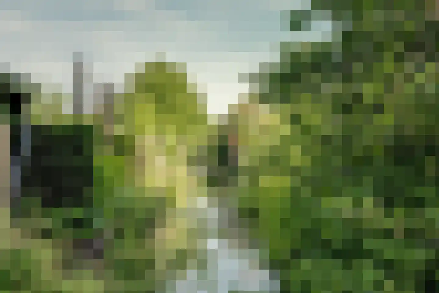 Golden Deliciouslaan 17 Blokker thumbnail 23