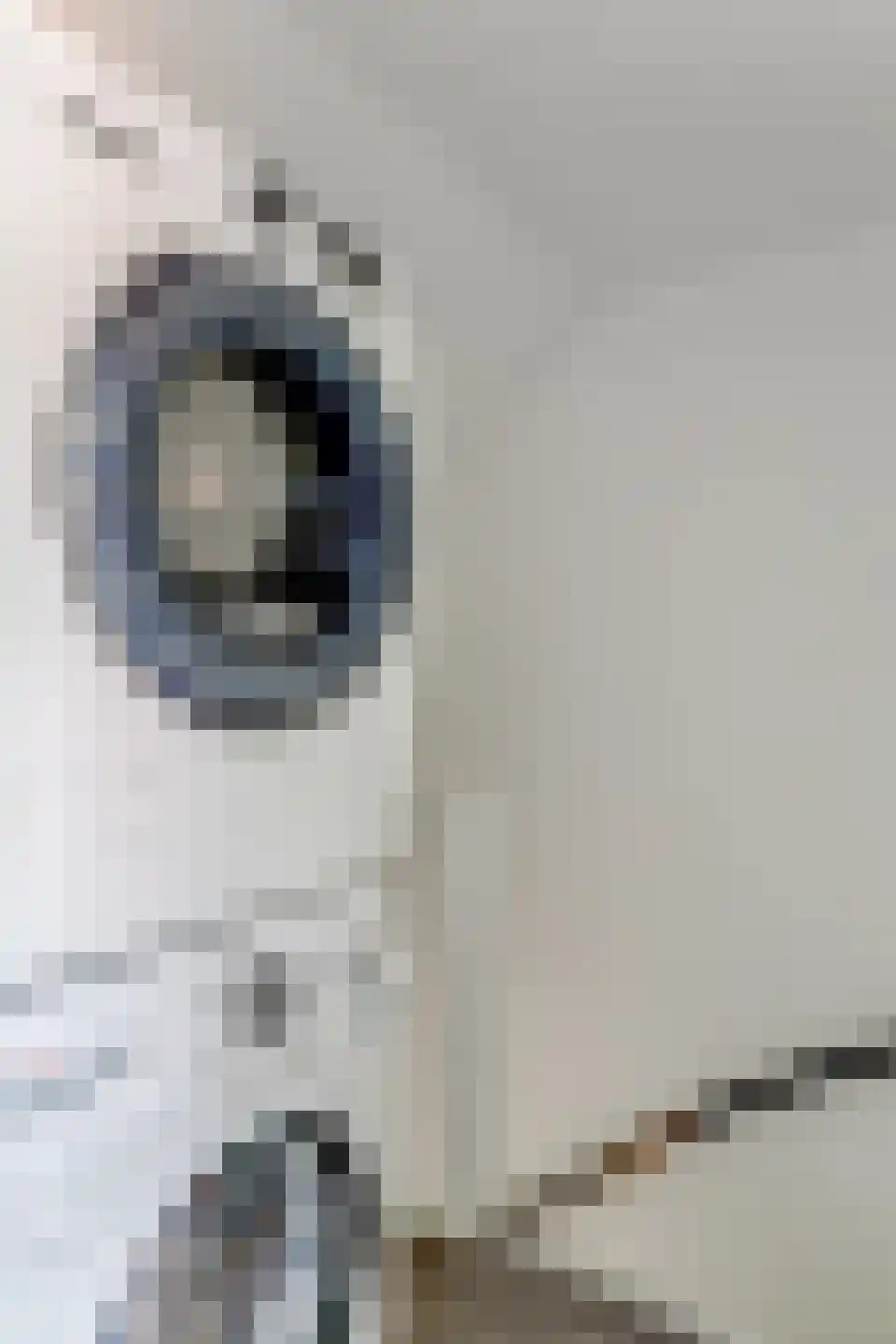 Golden Deliciouslaan 17 Blokker thumbnail 37